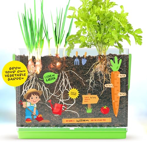 Root Viewer Growing Kit for Kids’ Plant Learning