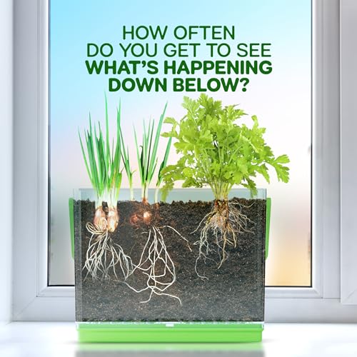 Root Viewer Growing Kit for Kids’ Plant Learning