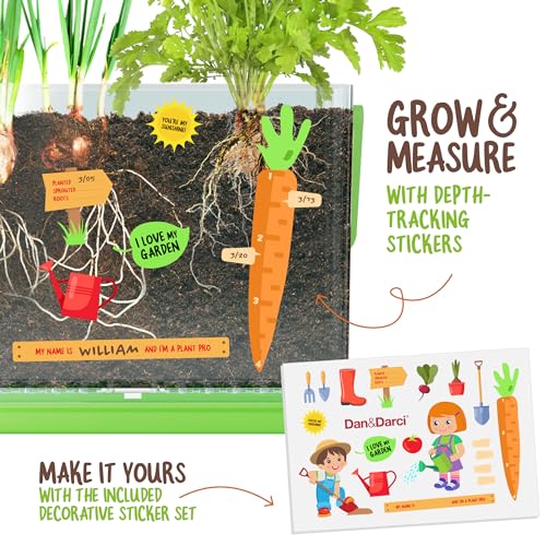 Root Viewer Growing Kit for Kids’ Plant Learning