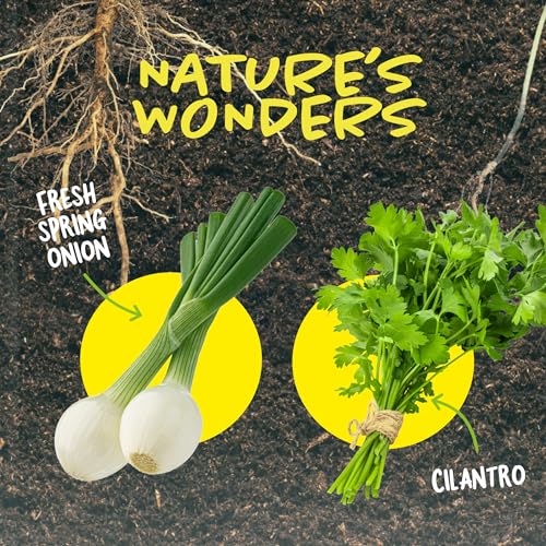 Root Viewer Growing Kit for Kids’ Plant Learning