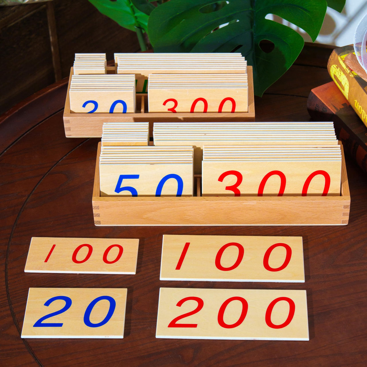 Montessori Curriculum Set for Ages 3–12
