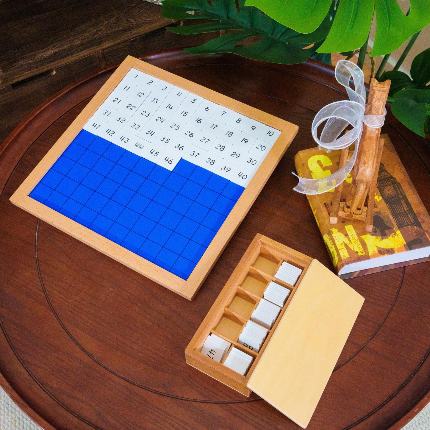 Montessori Curriculum Set for Ages 3–12