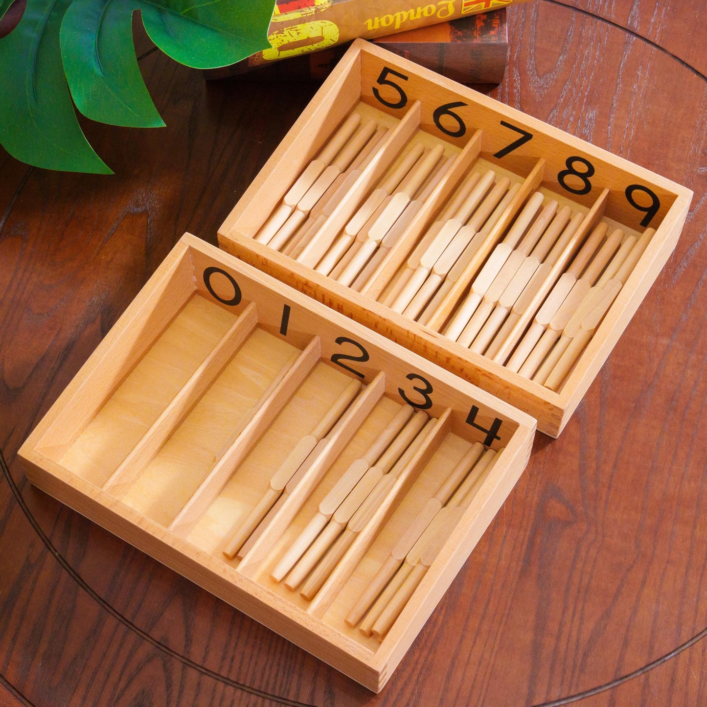 Montessori Curriculum Set for Ages 3–12