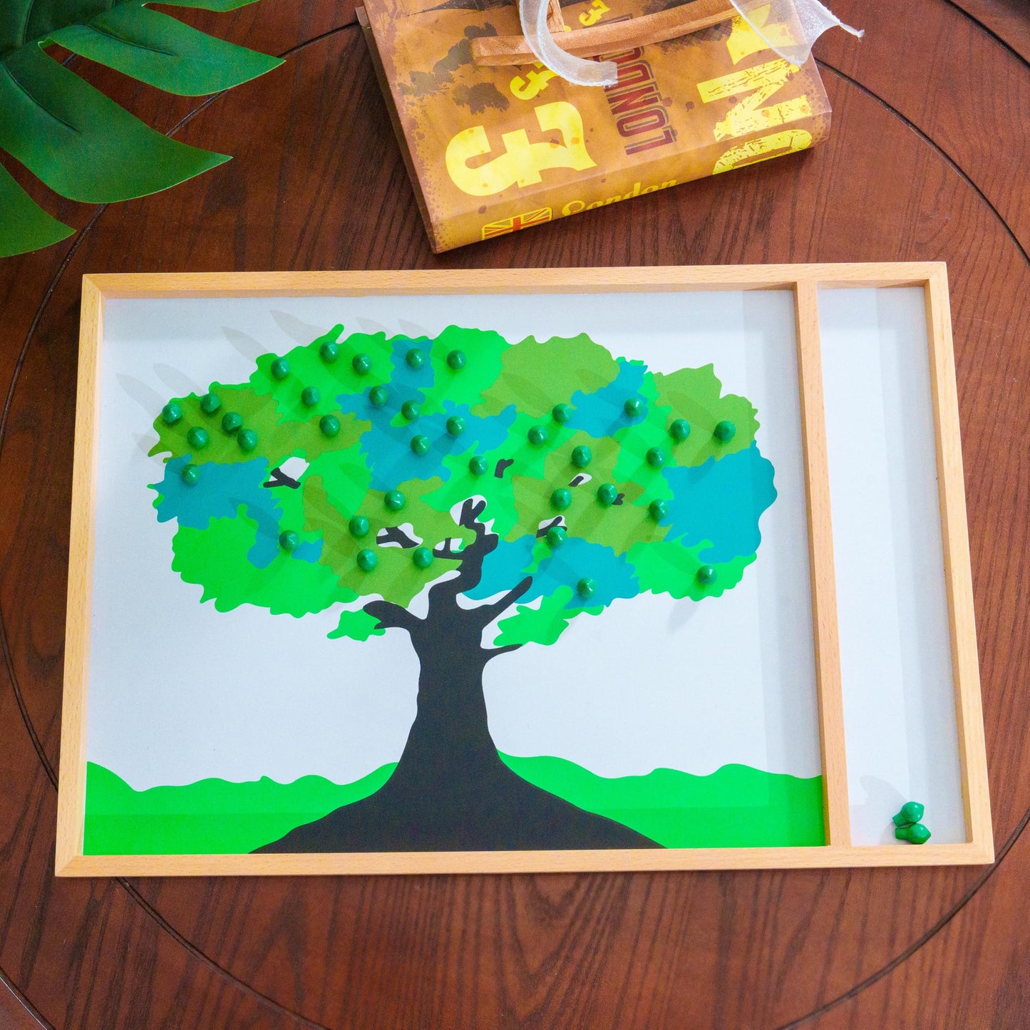 Montessori Curriculum Set for Ages 3–12